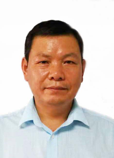 专家团队