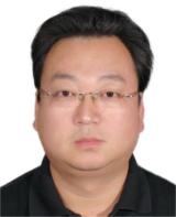 专家团队