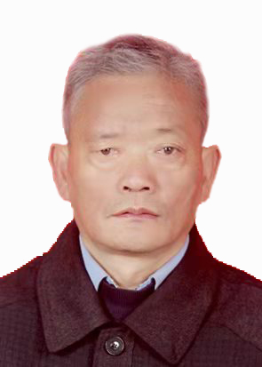 专家团队