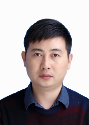 专家团队