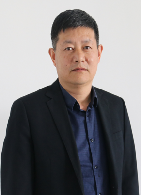 专家团队