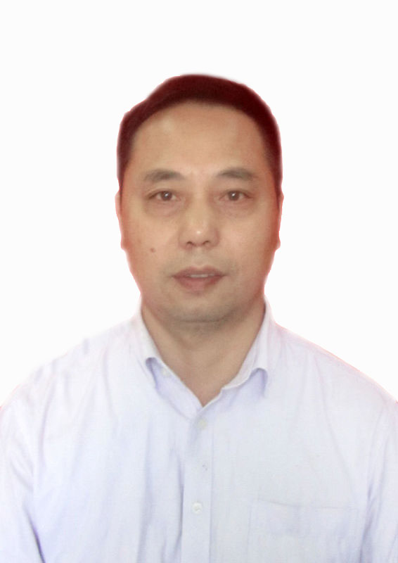 专家团队