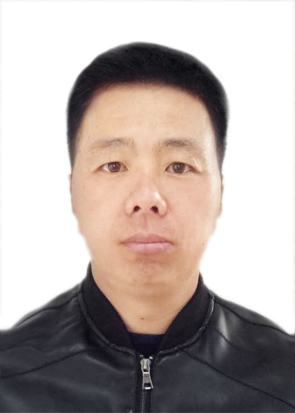 专家团队