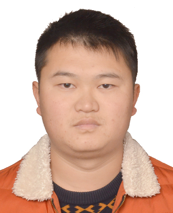 专家团队