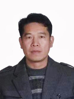 专家团队