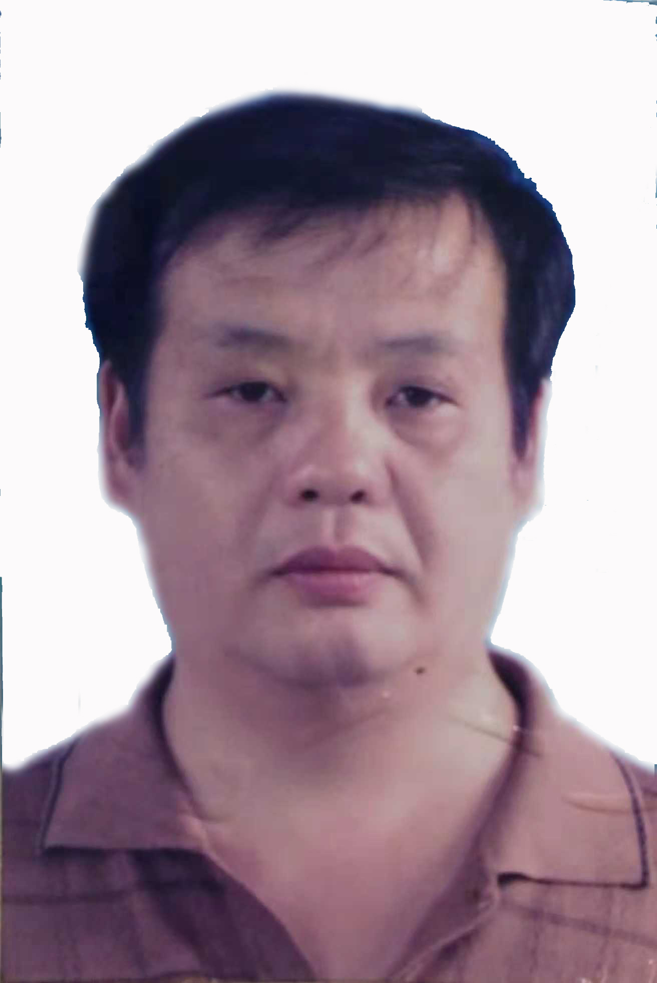 专家团队