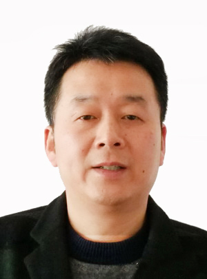 专家团队