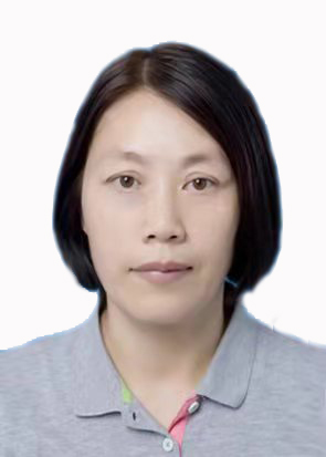 专家团队