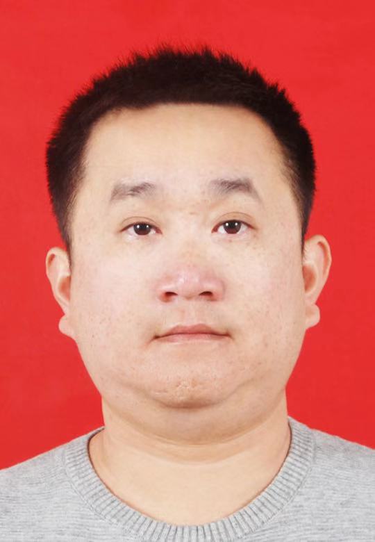 专家团队